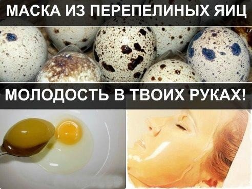 Маски для лица из перепелиных яиц Маски для лица из перепелиных яиц
