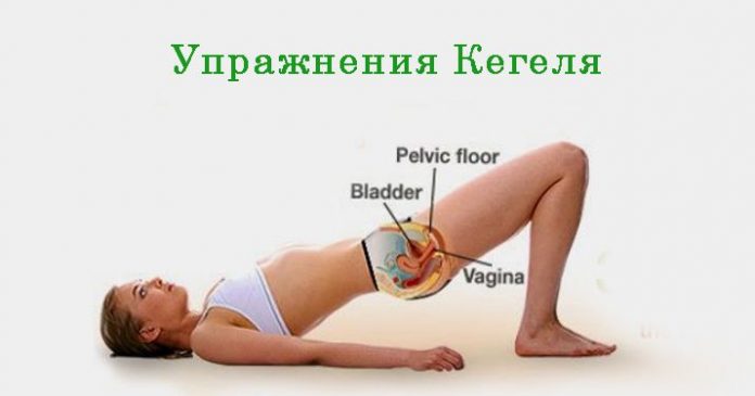 uprazhneniya-kegel Упражнения КЕГЕЛЯ