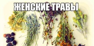 лучшие женские травы