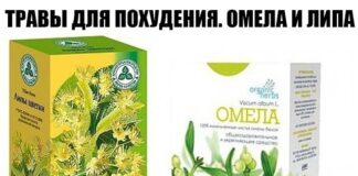 омела и липа для похудения