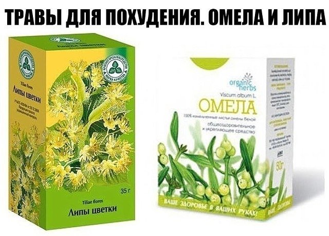 omega-i-lipa-dlya-pohudeniya омела и липа для похудения