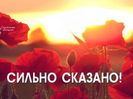 Сильно сказано. Есть над чем задуматься…