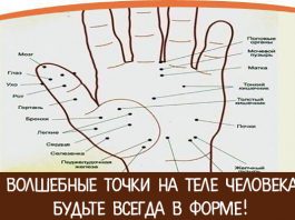 Волшебные точки на теле человека. Будьте всегда в форме