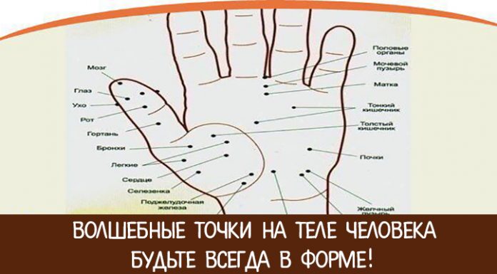 Волшебные точки на теле человека. Будьте всегда в форме