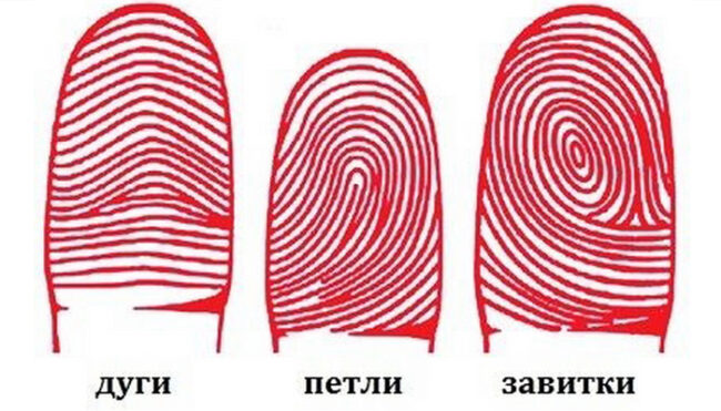 Тест Дактилоскопия и характер. Что поведают ваши пальчики?