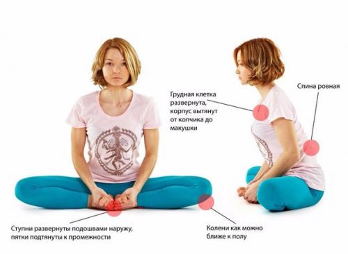 упражнение бабочка