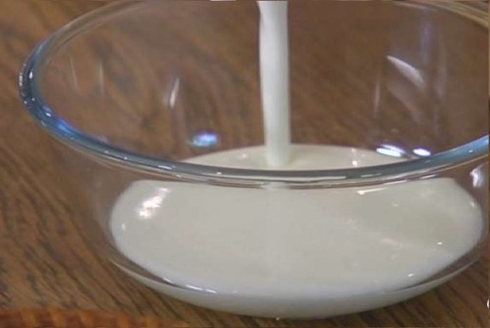 kefir