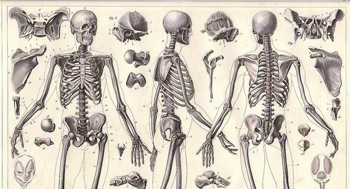Воспалительные заболевания суставов — это заболевания лимфатической системы