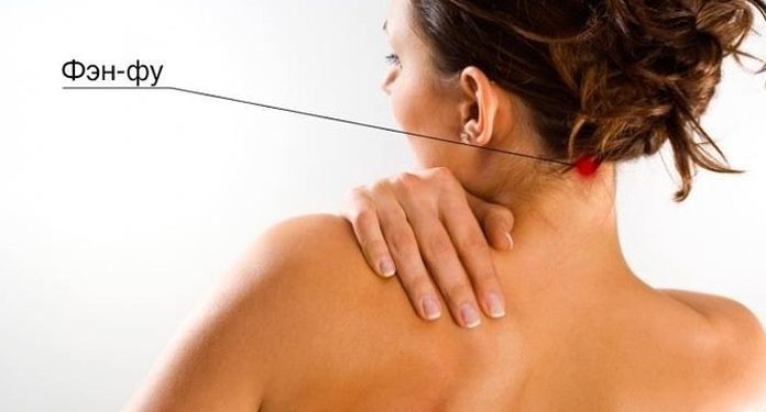 Точка Фэн-Фу и омоложение организма. Невероятно, но факт Точка Фэн-Фу омоложение