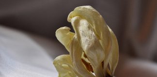 11 привычек, из-за которых вы стареете быстрее
