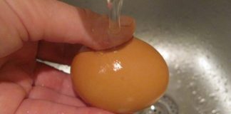 Какие продукты нужно мыть, а какие нет: большинство делает наоборот