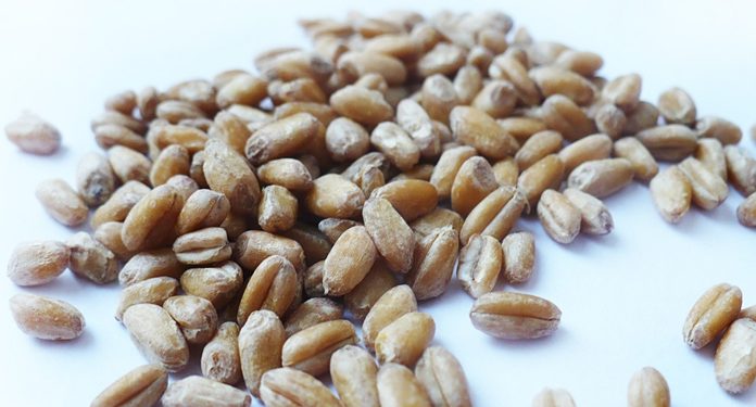 Продукты, разжижающие кровь