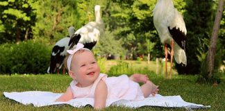 Скажи мне как ты родился