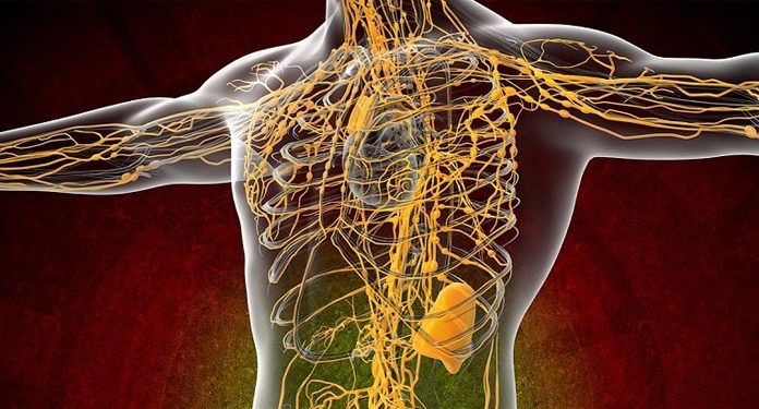 10 простых способов очищения лимфатической системы. Только натуральные средства