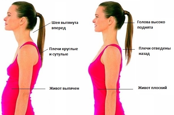 плоский живот без диет и тренировок