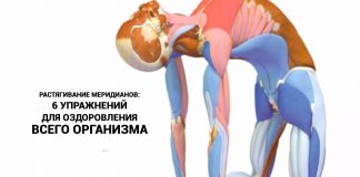 Растягивание меридианов: 6 упражнений для оздоровления всего организма