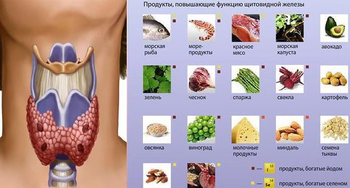 Ваша щитовидка скажет «спасибо» за употребление этих продуктов!