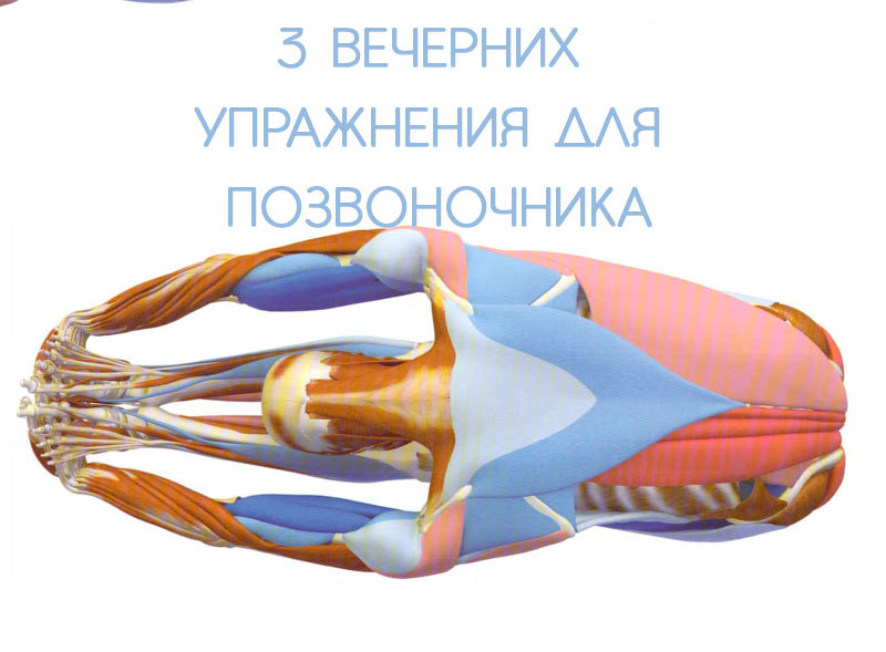 3 вечерних упражнения для позвоночника