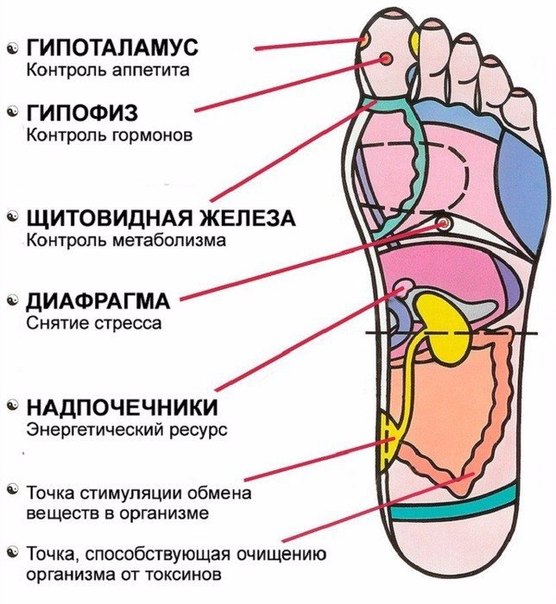 точки на стопе
