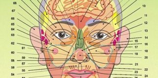 Что каждый может узнать о себе по лицу — проекционные зоны по Огулову А. Т.
