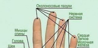 Секрет древних врачевателей — массаж пальцев рук от всех болезней точки на руке