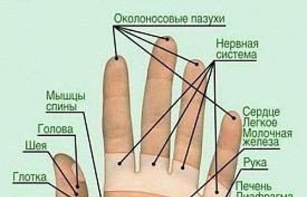 точки на руке