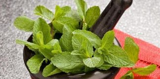 5 запахов, которые способны исцелять. Доказано наукой