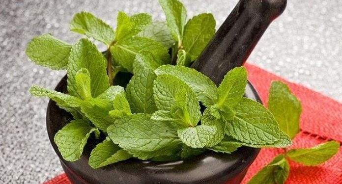 5 запахов, которые способны исцелять. Доказано наукой