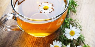 Рецепт для продления жизни, который был переведен на все языки мира