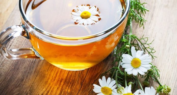 Рецепт для продления жизни, который был переведен на все языки мира
