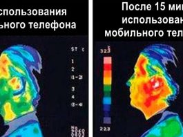 В Европе запрещают Wi-Fi в школах и детсадах. И на то есть очень тревожная причина