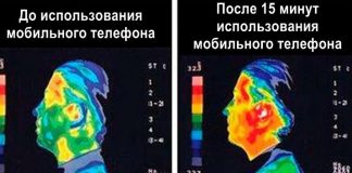 В Европе запрещают Wi-Fi в школах и детсадах. И на то есть очень тревожная причина