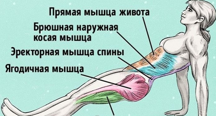 Всего одно упражнение, чтобы сжечь жир и исправить осанку!