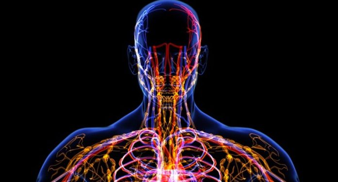 Ольга Бутакова: Лимфатическая система, о чем не знают 90% врачей