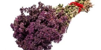 Секретный рецепт чая самого Чингисхана
