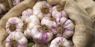 Секреты о чесноке, которые должен знать каждый
