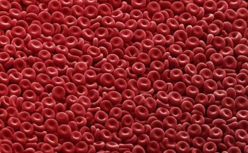 ВОТ ПОЧЕМУ ЛЮДЯМ СО ВТОРОЙ ГРУППОЙ КРОВИ ПРОТИВОПОКАЗАН АЛКОГОЛЬ кровь клетки