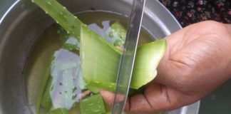 Настойка, которая вылечивает неизлечимые болезни