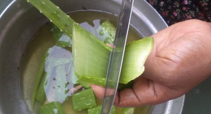 Настойка, которая вылечивает неизлечимые болезни