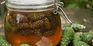 Инсульт боится сосновых шишек