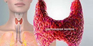 Как запустить по новой работу щитовидки, чтобы ускорить метаболизм и сжечь лишний жир