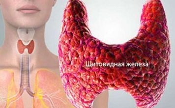 Как запустить по новой работу щитовидки, чтобы ускорить метаболизм и сжечь лишний жир