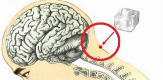 Точка Конфуция: особое место силы на теле человека Точка конфуция