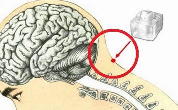Точка Конфуция: особое место силы на теле человека Точка конфуция