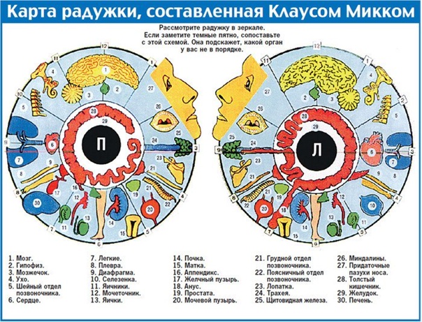 иридодиагностика