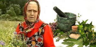 Есть 3 сорняка, которые помогают восстановить хрящи и кости. Вот они