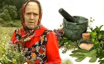 Есть 3 сорняка, которые помогают восстановить хрящи и кости. Вот они