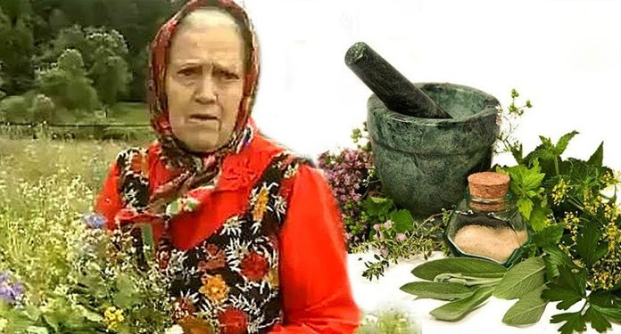 Есть 3 сорняка, которые помогают восстановить хрящи и кости. Вот они