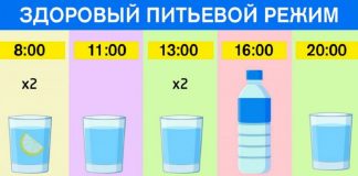 График питья для худеющих: ешь что хочешь и пей воду по часам