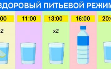 График питья для худеющих: ешь что хочешь и пей воду по часам